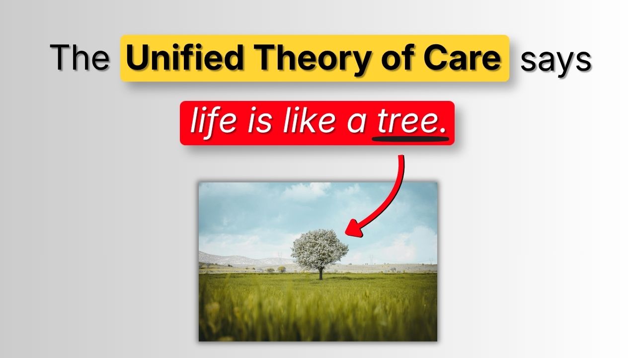 The Unified Theory of Care