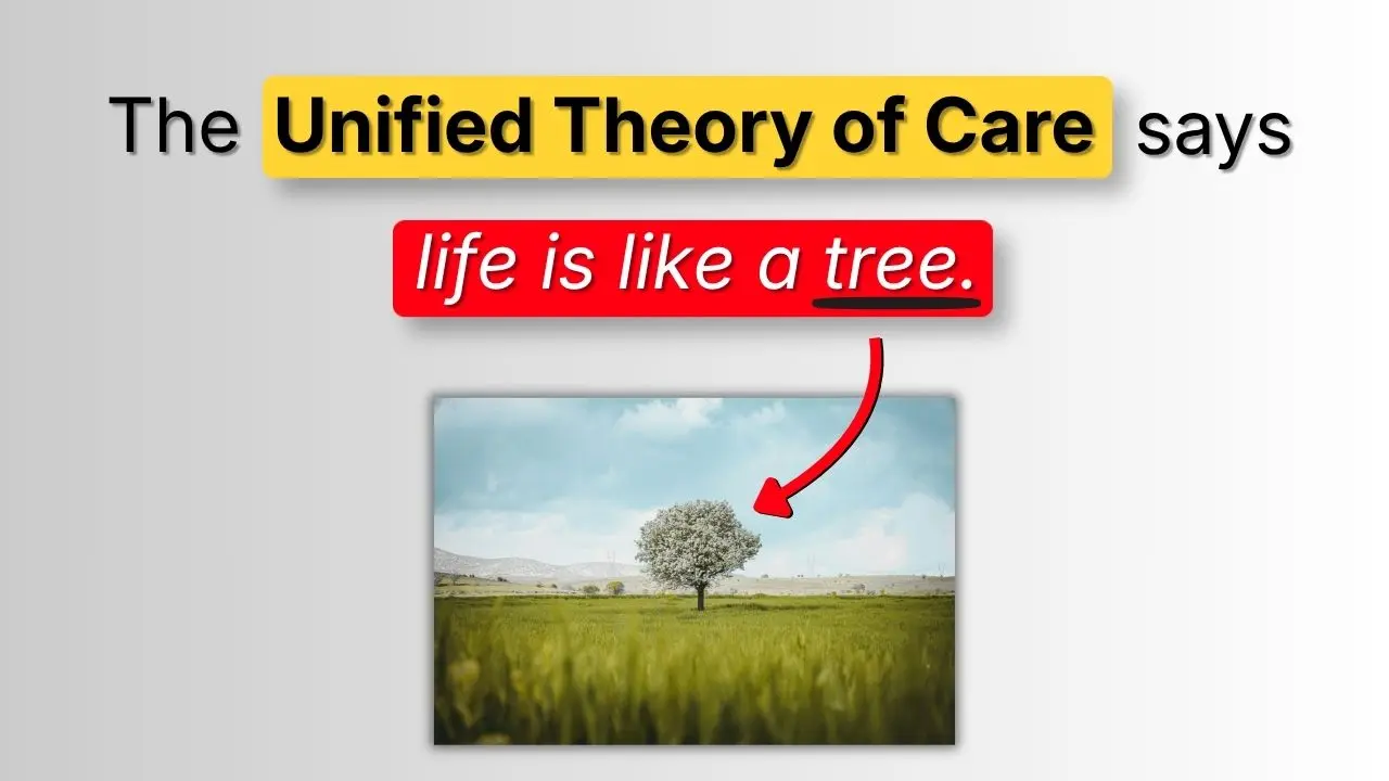 The Unified Theory of Care