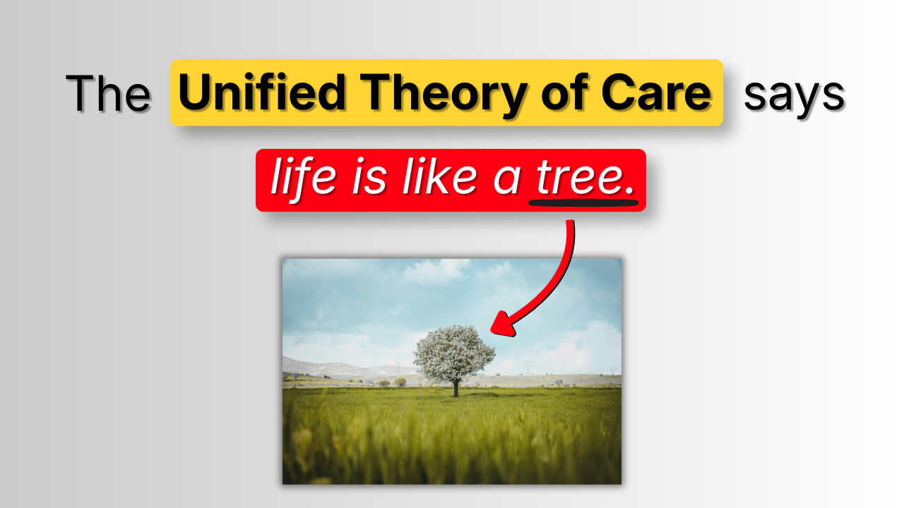 The Unified Theory of Care